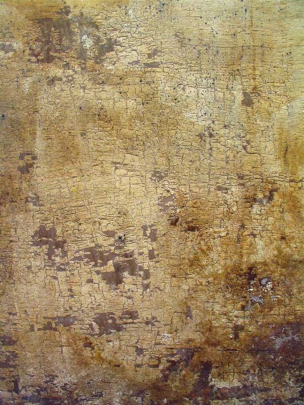 artist paint finish by harvey woodward